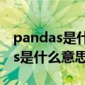 pandas是什么意思中文翻译怎么读（pandas是什么意思）