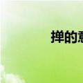 掸的意思和造句（掸的意思）