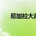尼加拉大瀑布的英文（尼加拉大瀑布）