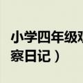 小学四年级观察日记黄豆发芽（小学四年级观察日记）