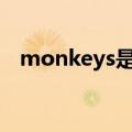 monkeys是什么意思（mon是什么意思）