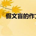 假文盲的作文300字（假文盲作文300字）