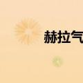 赫拉气垫型号（赫拉气垫色号）