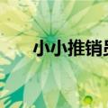 小小推销员作文400字（小小推销员）