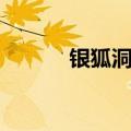 银狐洞阅读理解答案（银狐洞）
