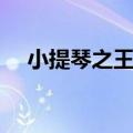 小提琴之王的作曲家（小提琴之王是谁）