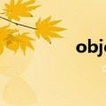 objective翻译（object）