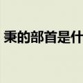 秉的部首是什么再查几画（秉的部首是什么）