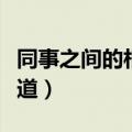 同事之间的相处之道视频（同事之间的相处之道）
