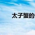 太子蟹的做法(5种)（太子蟹的做法）