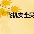 飞机安全员一个月多少钱（飞机安全员）
