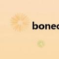 bonecraft汉化（bonecraft）
