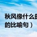 秋风像什么的比喻句拟人二年级（秋风像什么的比喻句）