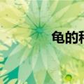 龟的种类有哪些（龟的种类）