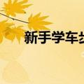 新手学车步骤是什么（新手学车步骤）