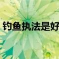 钓鱼执法是好是坏（钓鱼执法是什么意思啊）