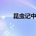 昆虫记中蚂蚁的特点（蚂蚁的特点）