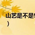 山艺是不是985或211（山艺是一本还是二本）