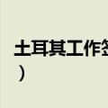 土耳其工作签证办理流程（工作签证办理流程）