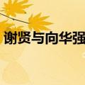 谢贤与向华强关系（谢贤和向华强谁势力大）