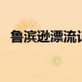 鲁滨逊漂流记好段落（鲁滨逊漂流记好段）
