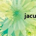 jacuzzis怎么读（jacuzzi）