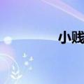 小贱为什么消失了（小贱）