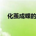 化茧成蝶的意思道理（化茧成蝶的意思）