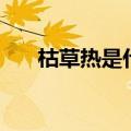 枯草热是什么症状在感冒了（枯草热）