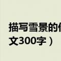 描写雪景的作文300字四年级（描写雪景的作文300字）