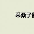 采桑子翻译和原文（采桑子翻译）