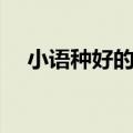 小语种好的二本（小语种二本大学排名）
