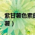 紫甘薯色素的提取及含量测定实验报告（紫甘薯）
