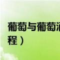 葡萄与葡萄酒工程专业考研（葡萄与葡萄酒工程）