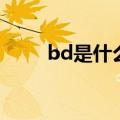 bd是什么牌子的衣服（bd是什么）
