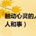 触动心灵的人和事为主题的作文（触动心灵的人和事）