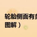 轮胎侧面有多厚图解帘子布（轮胎侧面有多厚图解）