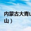 内蒙古大青山自然保护区管理局（内蒙古大青山）