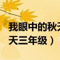 我眼中的秋天三年级作文300字（我眼中的秋天三年级）