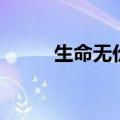 生命无价是什么意思（生命无价）