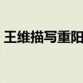 王维描写重阳节的诗句（描写重阳节的诗句）
