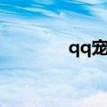 qq宠物玩法（qq宠物打工）