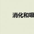 消化和吸收教学设计（消化和吸收）