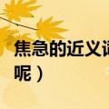 焦急的近义词是什么呀（焦急的近义词是什么呢）