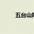 五台山降龙木手串（降龙木手串）