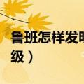鲁班怎样发明了锯子（鲁班怎样发明了锯一年级）