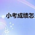 小考成绩怎么查2021（小考成绩怎么查）