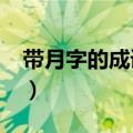 带月字的成语有哪些?（带月字的成语有哪些）