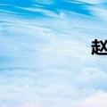 赵勇辞职（赵勇去向）