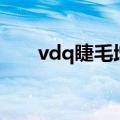 vdq睫毛增长液（dhc眼睫毛增长液）